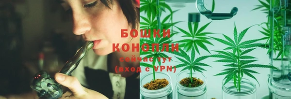 стафф Волоколамск