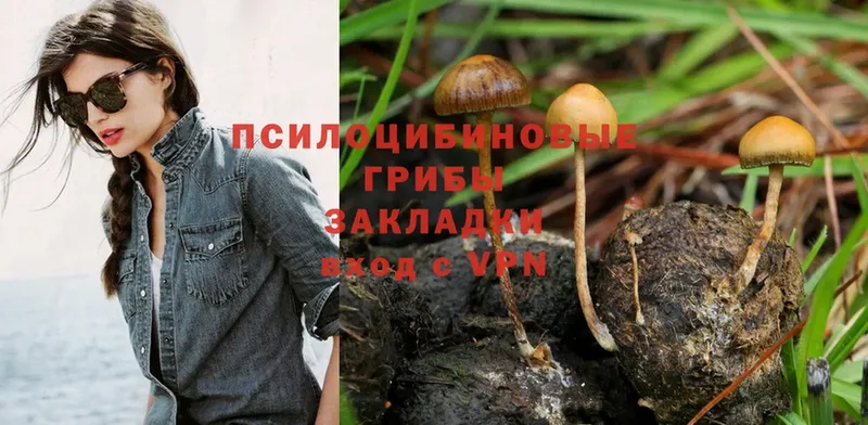 Псилоцибиновые грибы Psilocybe  hydra ссылки  Кушва 